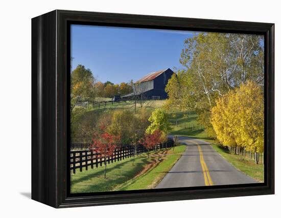 Rural Road Through Bluegrass in Autumn Near Lexington, Kentucky, USA-Adam Jones-Framed Premier Image Canvas