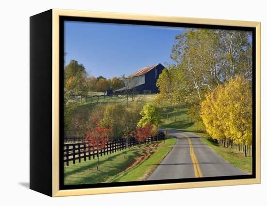 Rural Road Through Bluegrass in Autumn Near Lexington, Kentucky, USA-Adam Jones-Framed Premier Image Canvas