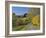 Rural Road Through Bluegrass in Autumn Near Lexington, Kentucky, USA-Adam Jones-Framed Photographic Print