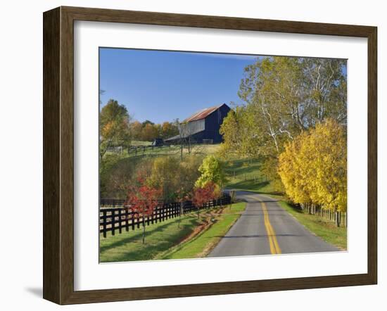 Rural Road Through Bluegrass in Autumn Near Lexington, Kentucky, USA-Adam Jones-Framed Photographic Print