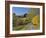 Rural Road Through Bluegrass in Autumn Near Lexington, Kentucky, USA-Adam Jones-Framed Photographic Print