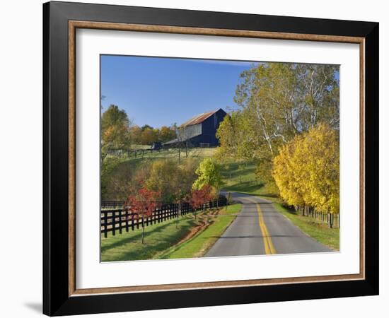 Rural Road Through Bluegrass in Autumn Near Lexington, Kentucky, USA-Adam Jones-Framed Photographic Print