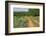 Rural road through Texas bluebonnets, Texas hill country.-Adam Jones-Framed Photographic Print