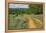 Rural road through Texas bluebonnets, Texas hill country.-Adam Jones-Framed Premier Image Canvas