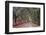 Rural road with azaleas and live oaks lining roadway, Bonaventure Cemetery, Savannah, Georgia-Adam Jones-Framed Photographic Print