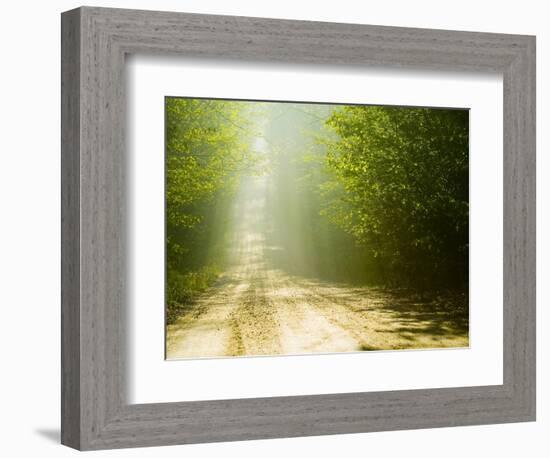 Rural Road-Jim Craigmyle-Framed Photographic Print