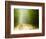 Rural Road-Jim Craigmyle-Framed Photographic Print