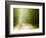 Rural Road-Jim Craigmyle-Framed Photographic Print