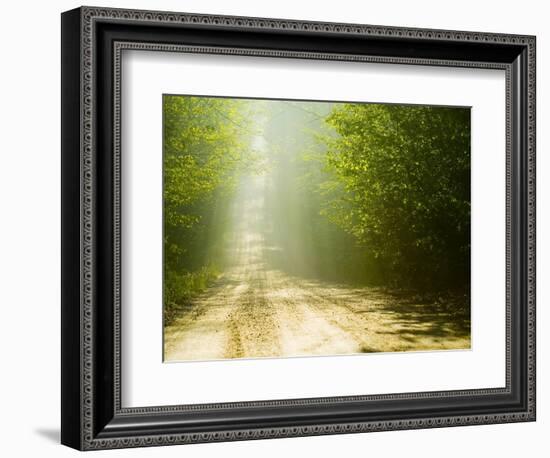 Rural Road-Jim Craigmyle-Framed Photographic Print