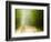 Rural Road-Jim Craigmyle-Framed Photographic Print
