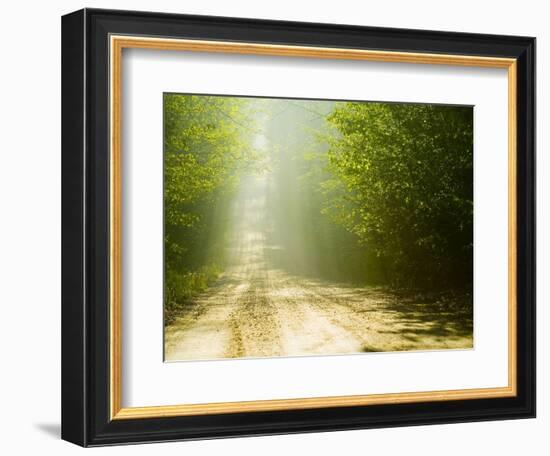 Rural Road-Jim Craigmyle-Framed Photographic Print