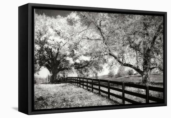 Rural Route 33 I-Alan Hausenflock-Framed Premier Image Canvas