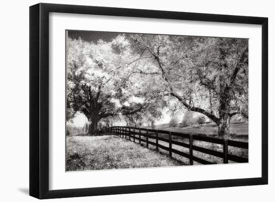 Rural Route 33 I-Alan Hausenflock-Framed Photographic Print