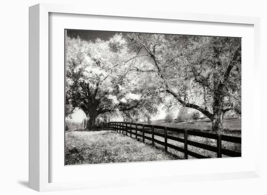 Rural Route 33 I-Alan Hausenflock-Framed Photographic Print