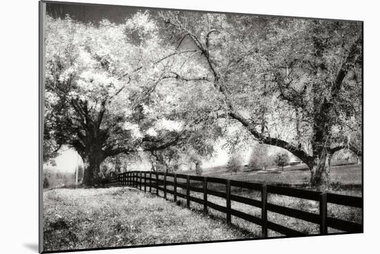 Rural Route 33 I-Alan Hausenflock-Mounted Photographic Print