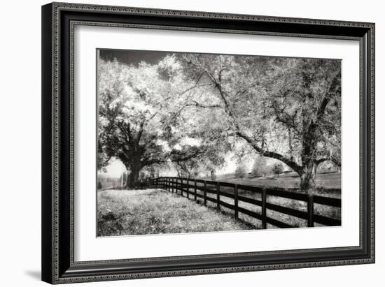 Rural Route 33 I-Alan Hausenflock-Framed Photographic Print