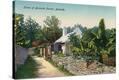 Stretched Canvas Print