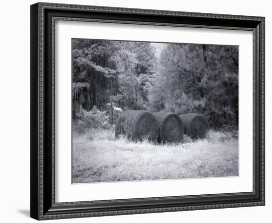 Rural Scene In Alabama-Carol Highsmith-Framed Art Print