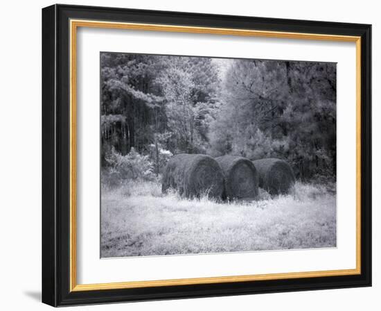 Rural Scene In Alabama-Carol Highsmith-Framed Art Print