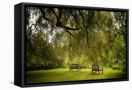 Rural Scene with Garden Benches under a Large Willow Tree-Jody Miller-Framed Premier Image Canvas