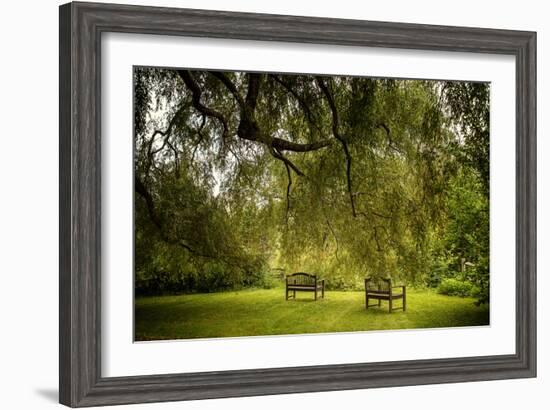 Rural Scene with Garden Benches under a Large Willow Tree-Jody Miller-Framed Photographic Print