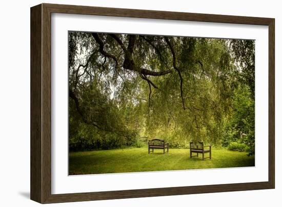 Rural Scene with Garden Benches under a Large Willow Tree-Jody Miller-Framed Photographic Print