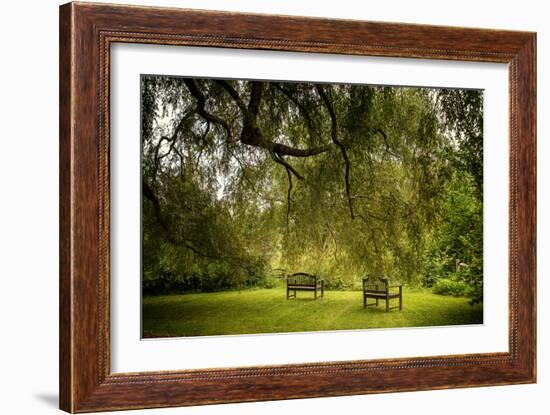 Rural Scene with Garden Benches under a Large Willow Tree-Jody Miller-Framed Photographic Print