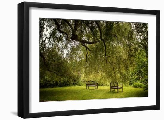 Rural Scene with Garden Benches under a Large Willow Tree-Jody Miller-Framed Photographic Print