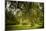 Rural Scene with Garden Benches under a Large Willow Tree-Jody Miller-Mounted Photographic Print