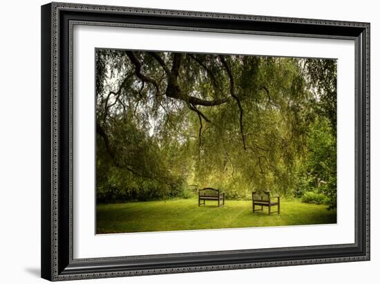 Rural Scene with Garden Benches under a Large Willow Tree-Jody Miller-Framed Photographic Print