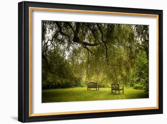 Rural Scene with Garden Benches under a Large Willow Tree-Jody Miller-Framed Photographic Print