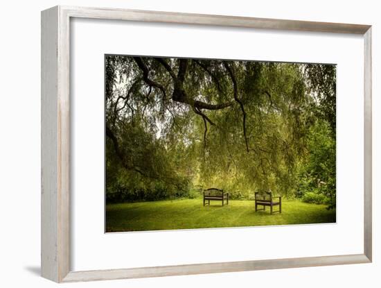 Rural Scene with Garden Benches under a Large Willow Tree-Jody Miller-Framed Photographic Print