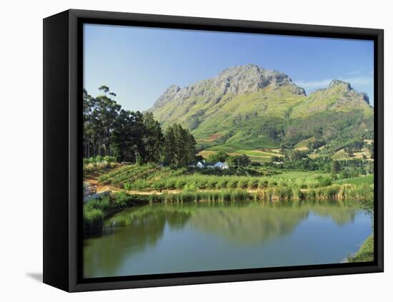 Rural Scenic Near Stellenbosch, Cape Province, South Africa, Africa-Rob Cousins-Framed Premier Image Canvas