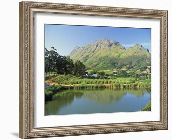 Rural Scenic Near Stellenbosch, Cape Province, South Africa, Africa-Rob Cousins-Framed Photographic Print