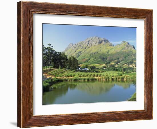 Rural Scenic Near Stellenbosch, Cape Province, South Africa, Africa-Rob Cousins-Framed Photographic Print