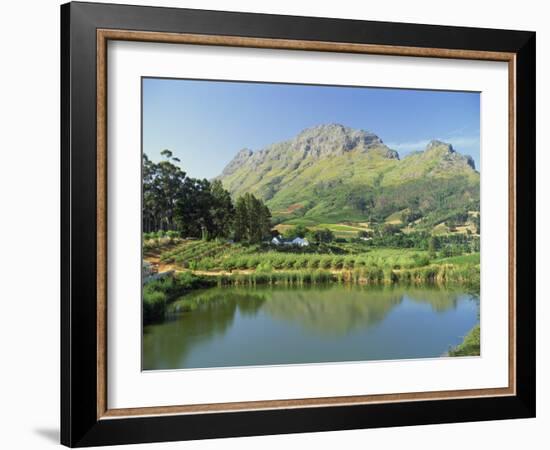Rural Scenic Near Stellenbosch, Cape Province, South Africa, Africa-Rob Cousins-Framed Photographic Print
