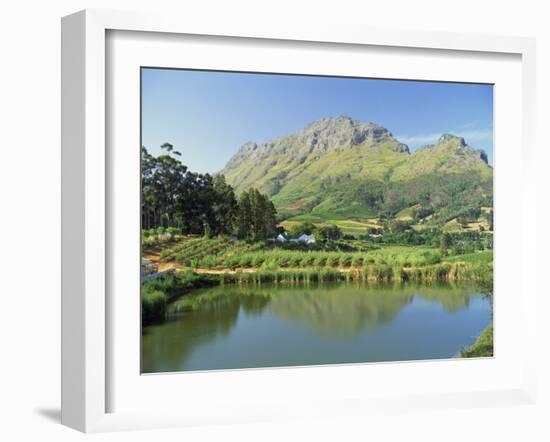 Rural Scenic Near Stellenbosch, Cape Province, South Africa, Africa-Rob Cousins-Framed Photographic Print