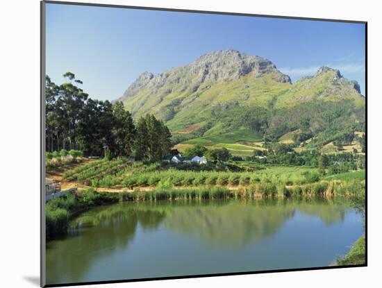 Rural Scenic Near Stellenbosch, Cape Province, South Africa, Africa-Rob Cousins-Mounted Photographic Print