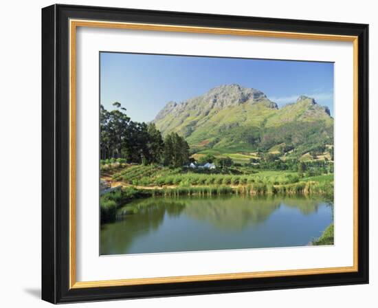 Rural Scenic Near Stellenbosch, Cape Province, South Africa, Africa-Rob Cousins-Framed Photographic Print