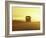 Rural School Bus Driving Along Dusty Country Road, Oregon, USA-William Sutton-Framed Photographic Print