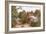 Rural Surrey Cottage-Myles Birket Foster-Framed Art Print