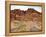 Rural Trail Through Desert-Beathan-Framed Premier Image Canvas