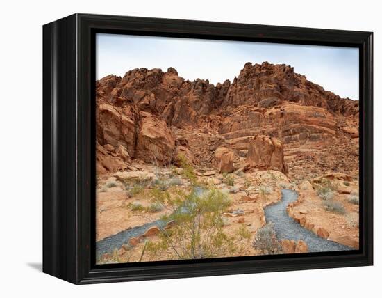 Rural Trail Through Desert-Beathan-Framed Premier Image Canvas