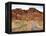 Rural Trail Through Desert-Beathan-Framed Premier Image Canvas