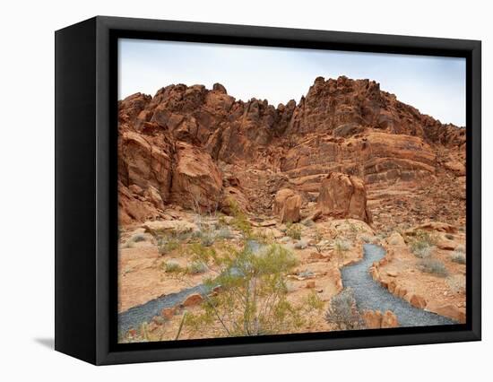 Rural Trail Through Desert-Beathan-Framed Premier Image Canvas