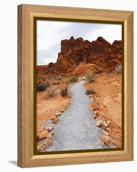 Rural Trail Through Desert-Beathan-Framed Premier Image Canvas