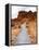 Rural Trail Through Desert-Beathan-Framed Premier Image Canvas