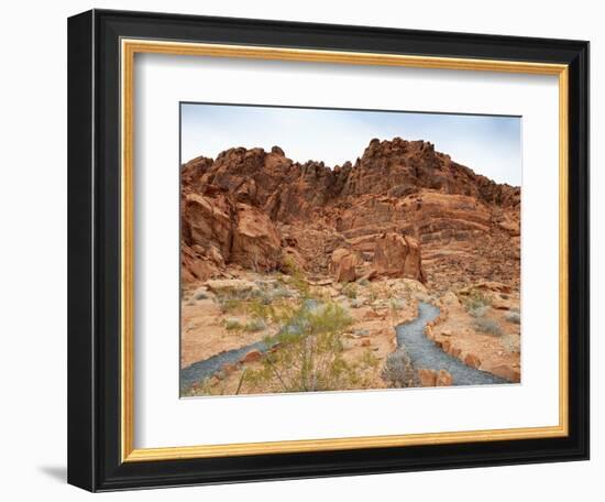 Rural Trail Through Desert-Beathan-Framed Photographic Print