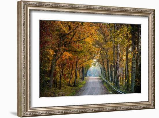 Rural USA with Trees in Autumn Along Track-Jody Miller-Framed Photographic Print