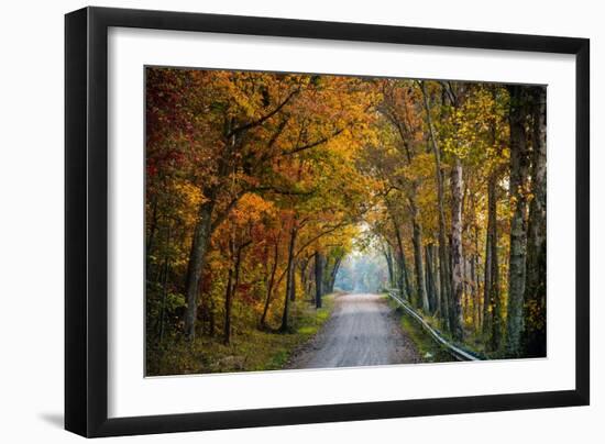 Rural USA with Trees in Autumn Along Track-Jody Miller-Framed Photographic Print